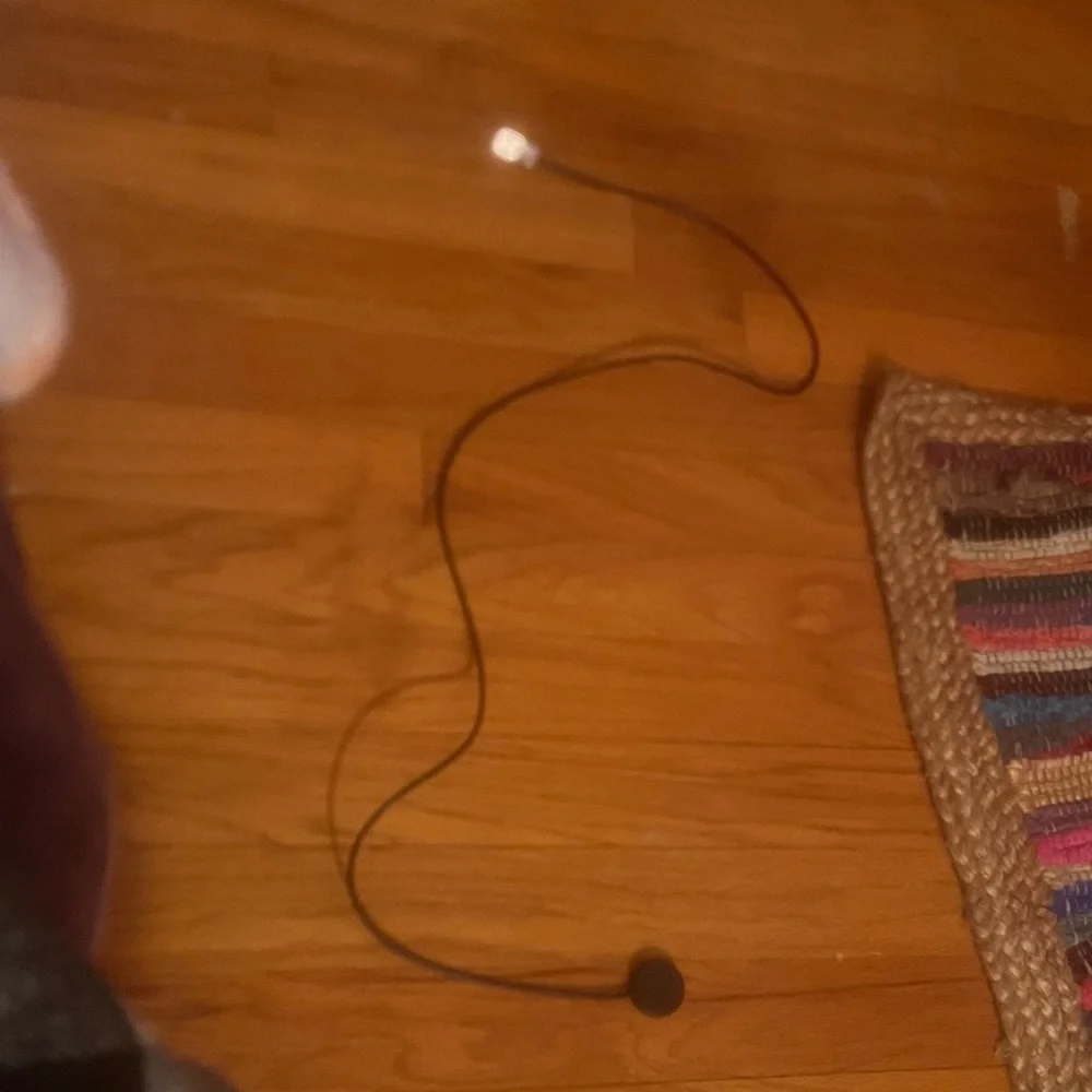 apple watch charger